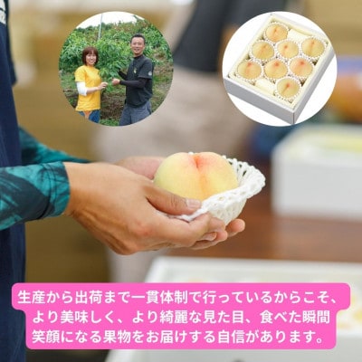岡山県産清水白桃　8玉・約2.0kg