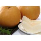 岡山県産あたご梨A　1玉(約1.0kg)