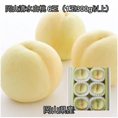 【2026年発送】岡山県産 岡山清水白桃 6玉(1玉300g以上)化粧箱入り
