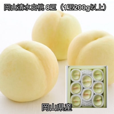 【2026年発送】岡山県産 岡山清水白桃 8玉(1玉200g以上)化粧箱入り