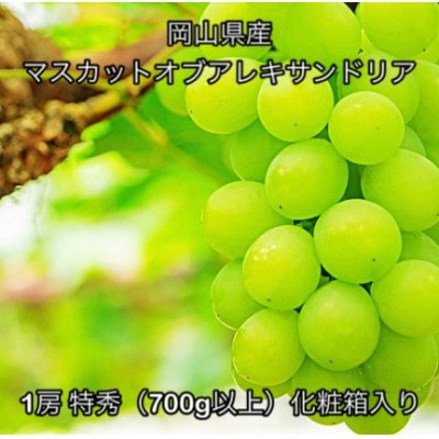【2026年発送】岡山県産 マスカットオブアレキサンドリア 1房 特秀(700g以上)化粧箱入り