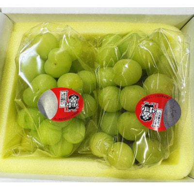 【2026年発送】岡山県産 桃太郎ぶどう 2房(約940g)化粧箱入り