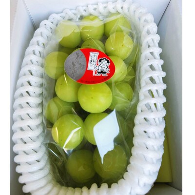 【2026年発送】岡山県産 桃太郎ぶどう 1房(約670g)化粧箱入り