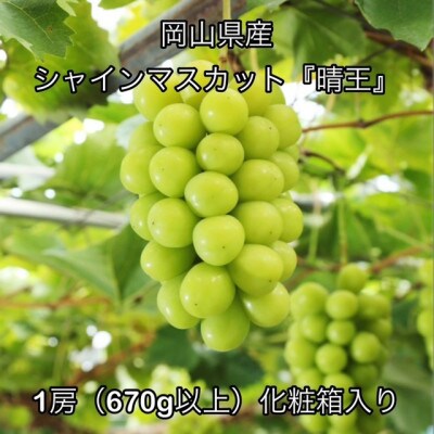 【2026年発送】岡山県産 シャインマスカット『晴王』1房(670g以上)化粧箱入り