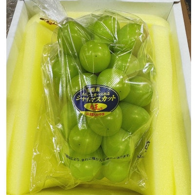 【2026年発送】岡山県産 シャインマスカット『晴王』1房(670g以上)化粧箱入り