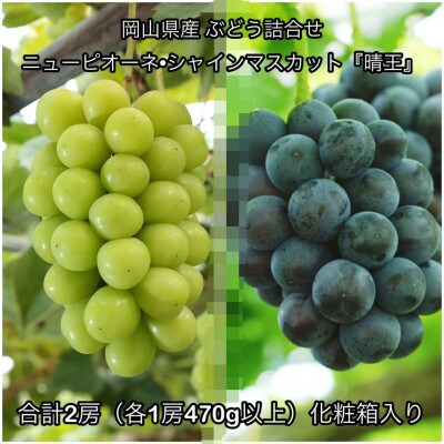 【2026年発送】岡山県産 ニュー ピオーネ ・シャインマスカット『晴王』計2房(各470g以上)