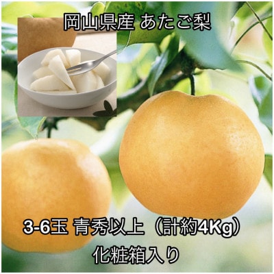 岡山県産 あたご梨3-6玉 青秀以上(約4kg) 化粧箱入り