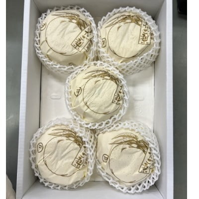 岡山県産 あたご梨3-6玉 青秀以上(約4kg) 化粧箱入り