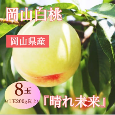 【2027年発送】岡山県産 岡山白桃 『晴れ未来』(1玉200g以上)8玉　化粧箱入り