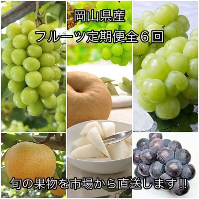 【発送月固定定期便】岡山県産 フルーツ定期便全6回