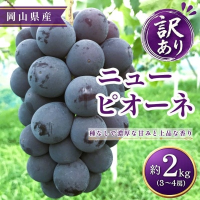 【2026年発送】【訳あり】ニューピオーネ 3～4房 約2kg