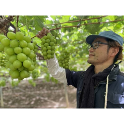 【2026年発送】【訳あり】シャインマスカット 3～4房 約2kg