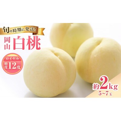 【2027年発送】白桃 ロイヤル 約2kg 岡山県産