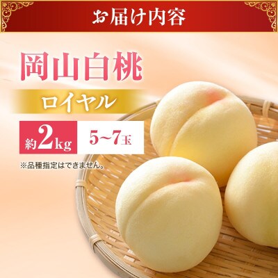 【2027年発送】白桃 ロイヤル 約2kg 岡山県産