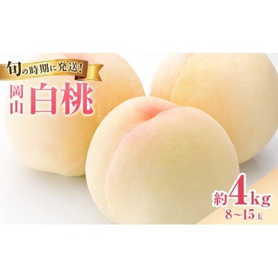 【2026年発送】白桃　約4kg　岡山県産