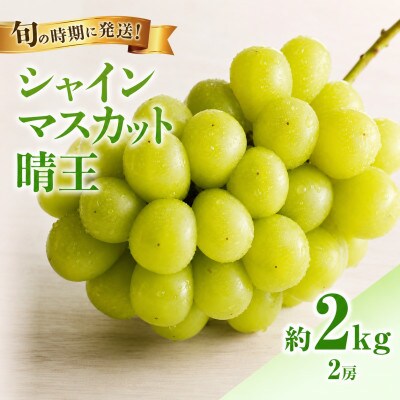 【2026年発送分 先行受付】岡山県産シャインマスカット「晴王」秀品(約1kg×2房)