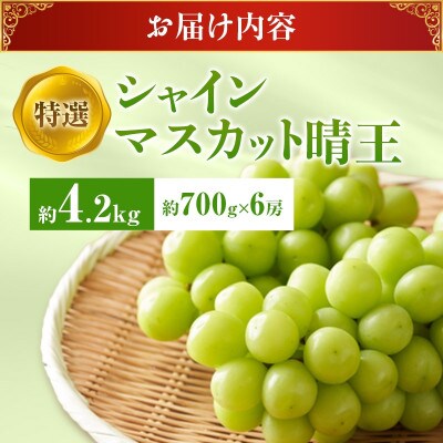 【2026年発送分 先行受付】岡山県産シャインマスカット「晴王」化粧箱入 1房(約700g)×6房