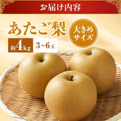 【2026年発送分 先行受付】岡山名産 あたご梨 秀品 約4kg(3～6玉)