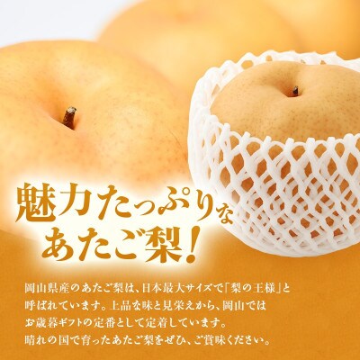 【2026年発送分 先行受付】岡山名産 あたご梨 秀品 約4kg(3～6玉)