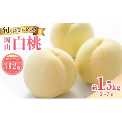 【2027年発送分 先行受付】岡山県産 白桃 最高ランク!ロイヤル 約1.5kg 5～7玉