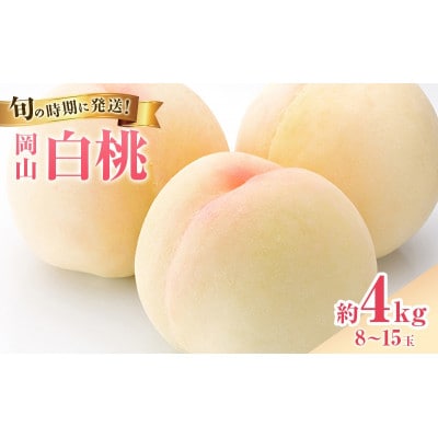 【2027年発送】白桃　約4kg　岡山県産