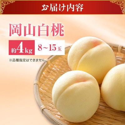 【2027年発送】白桃　約4kg　岡山県産