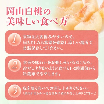 【2027年発送】白桃　約4kg　岡山県産
