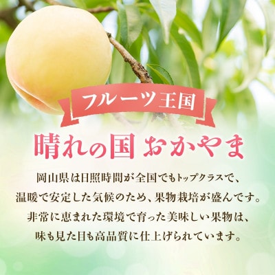 【2027年発送】白桃　約4kg　岡山県産