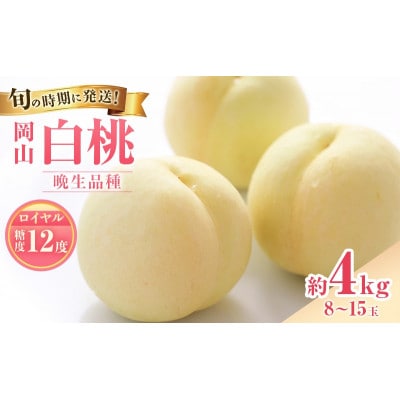 【2027年発送分 先行受付】岡山県産 白桃(晩生種) 最高ランク!ロイヤル約4kg 8～15玉