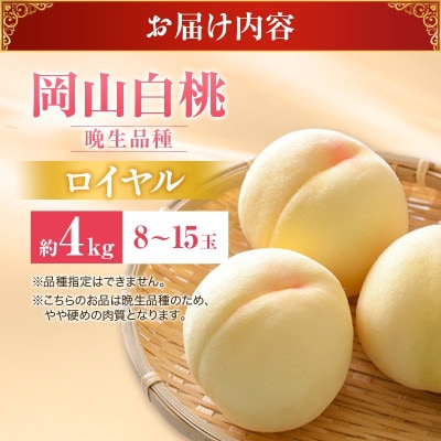 【2027年発送分 先行受付】岡山県産 白桃(晩生種) 最高ランク!ロイヤル約4kg 8～15玉