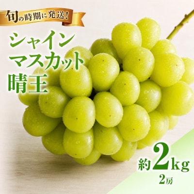 【2027年発送分 先行受付】岡山県産シャインマスカット「晴王」秀品(約1kg×2房)