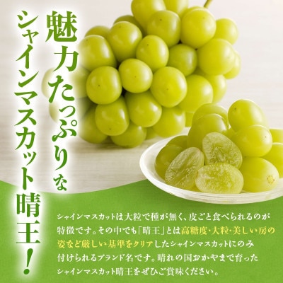 【2027年発送分 先行受付】岡山県産シャインマスカット「晴王」秀品(約1kg×2房)