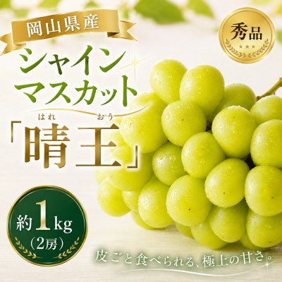 【2027年発送分 先行受付】岡山県産シャインマスカット「晴王」 秀品 1kg(2房)