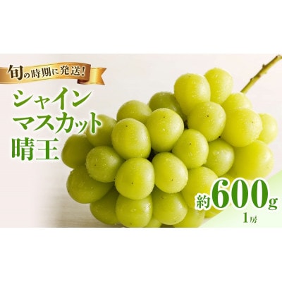 【2027年発送分 先行受付】岡山県産シャインマスカット「晴王」秀品 化粧箱入 1房(約600g)
