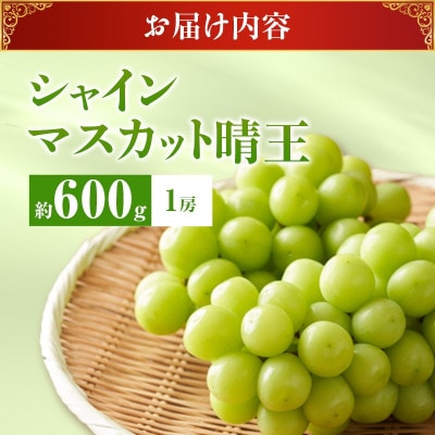 【2027年発送分 先行受付】岡山県産シャインマスカット「晴王」秀品 化粧箱入 1房(約600g)