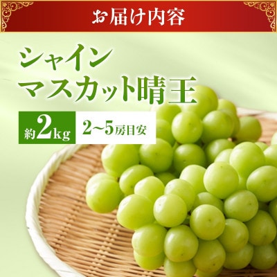 【令和9年産　先行受付】岡山県産シャインマスカット「晴王」(約2kg) 土方商店 2027年発送分