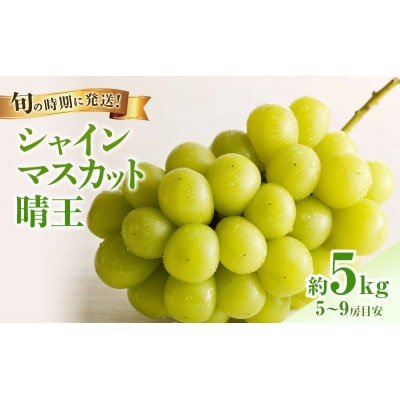 【令和9年産　先行受付】岡山県産シャインマスカット「晴王」(約5kg) 土方商店 2027年発送分