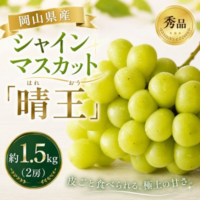 【2027年発送分 先行受付】岡山県産シャインマスカット「晴王」 秀品 約1.5kg(2房)