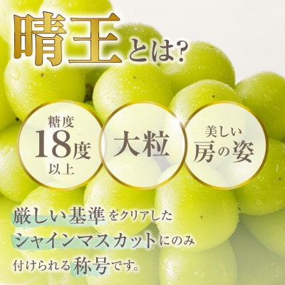 【2027年発送分 先行受付】岡山県産シャインマスカット「晴王」 秀品 約1.5kg(2房)