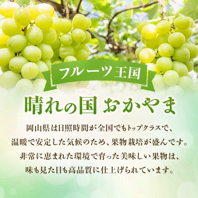 【2027年発送分 先行受付】岡山県産シャインマスカット「晴王」 特選 化粧箱入 1房(約700g)
