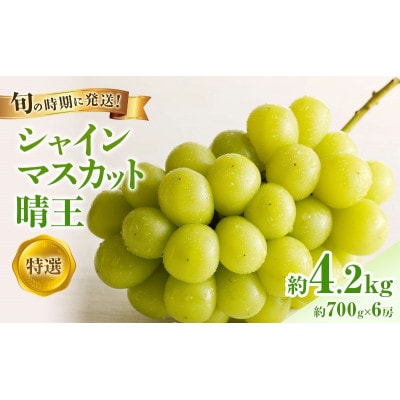 【2027年発送分 先行受付】岡山県産シャインマスカット「晴王」化粧箱入 1房(約700g)×6房