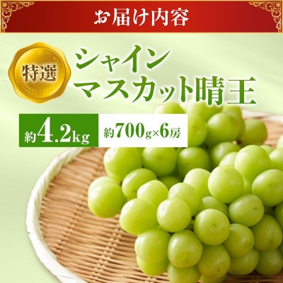 【2027年発送分 先行受付】岡山県産シャインマスカット「晴王」化粧箱入 1房(約700g)×6房