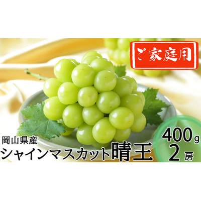 岡山県産 2026年発送 ご家庭用 シャインマスカット 晴王 約400g×2房 計800g