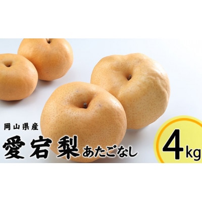 岡山県産 あたご梨 3～6玉 合計約4kg
