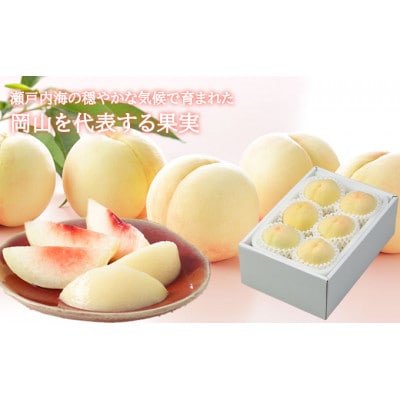 岡山白桃 2027年発送 エース 約1.2kg(4～8玉)