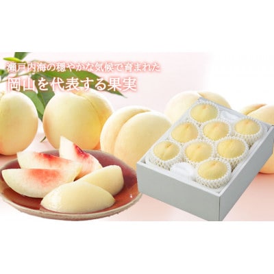 岡山白桃 2027年発送 エース 約2kg(5～10玉)