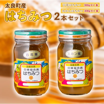 太良町産はちみつ2本セット(みかん蜜、百花蜜) みかん蜜300g、百花蜜300g　N27