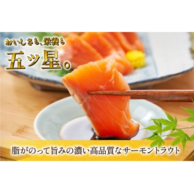 訳あり サーモン トラウト 切り落とし 総重量 1kg 200g×5p [20565178] ◎