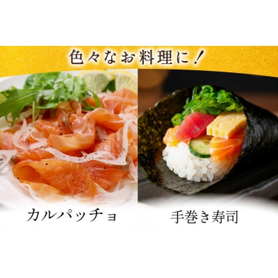 訳あり サーモン トラウト 切り落とし 総重量 1kg 200g×5p [20565178] ◎
