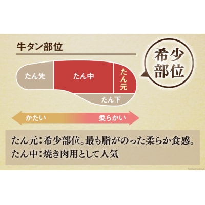 牛タン 薄切り牛タン 塩味 500g [モ～ランド 宮城県 気仙沼市 20565206] ◎
